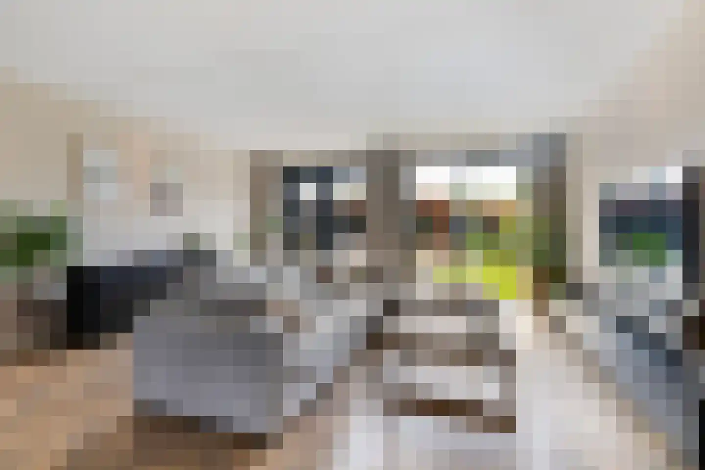 Van Haersolteweg 63 Apeldoorn thumbnail 4