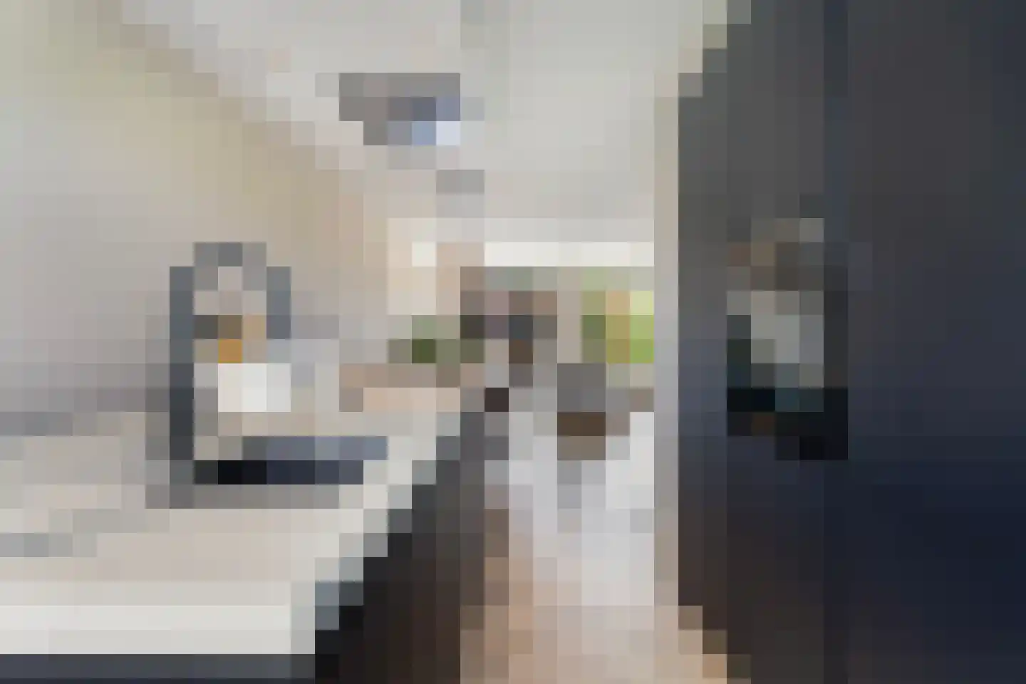 Van Haersolteweg 63 Apeldoorn thumbnail 7