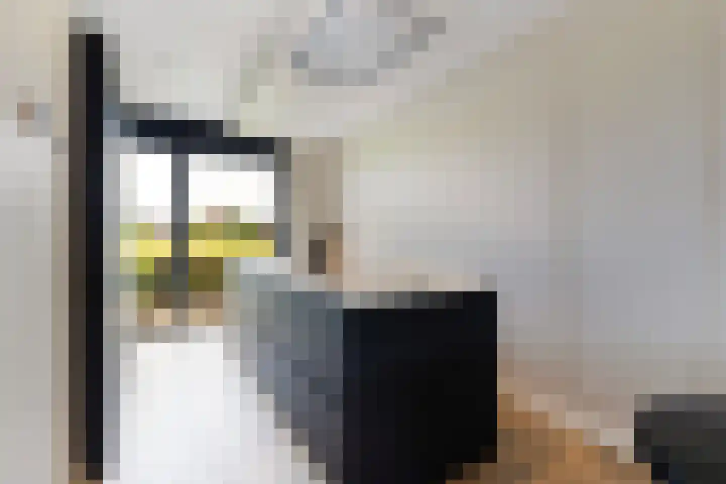 Van Haersolteweg 63 Apeldoorn thumbnail 8