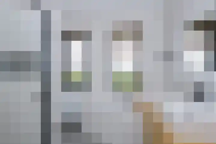 Van Haersolteweg 65 Apeldoorn thumbnail 17