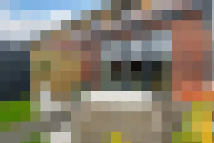 Van Haersolteweg 65 Apeldoorn thumbnail 27