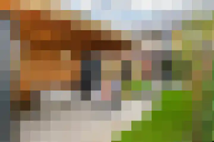 Van Haersolteweg 65 Apeldoorn thumbnail 28