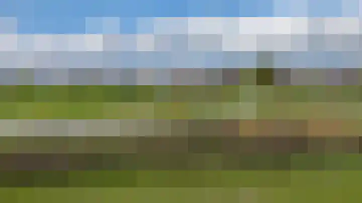 Van Haersolteweg 65 Apeldoorn thumbnail 33