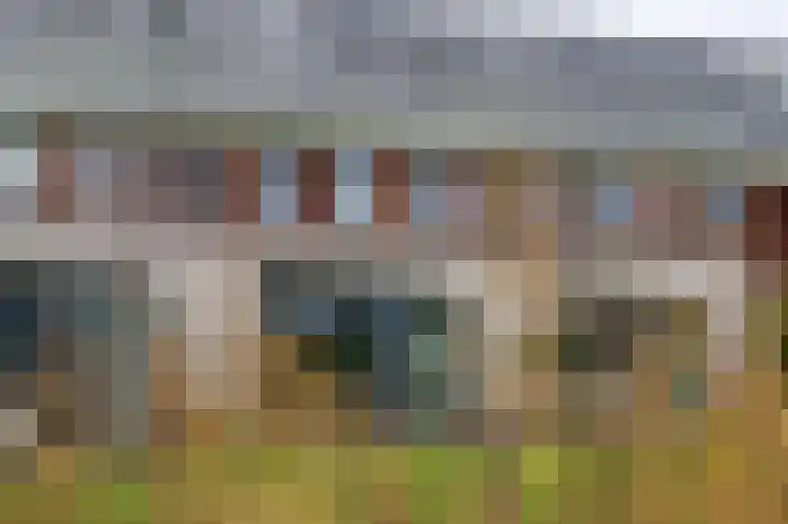 Van Haersolteweg 65 Apeldoorn thumbnail 36
