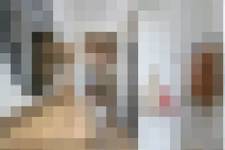 Van Haersolteweg 65 Apeldoorn thumbnail 5