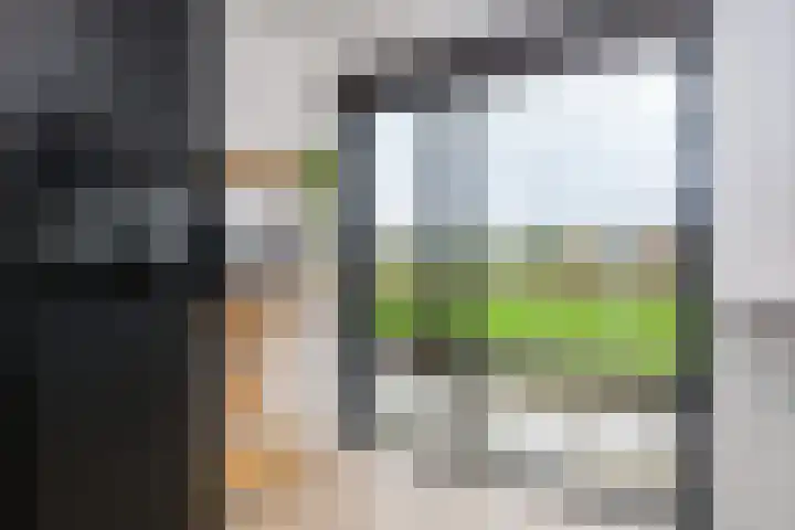 Van Haersolteweg 65 Apeldoorn thumbnail 8