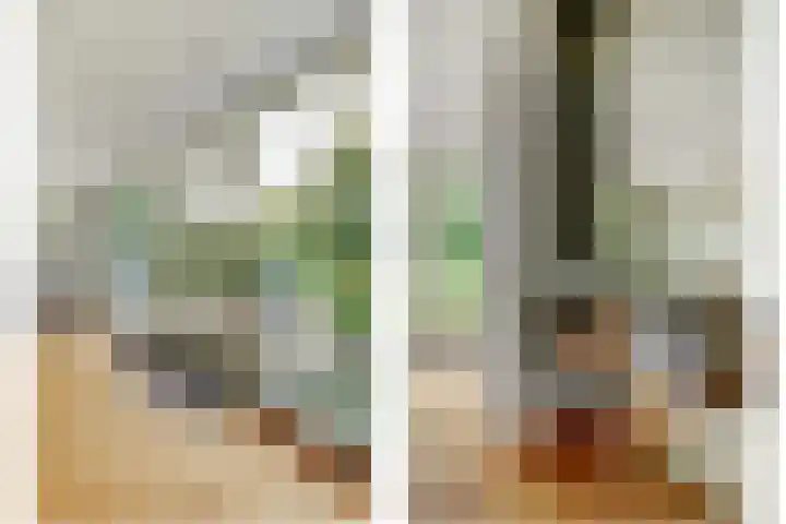 Van Haestrechtstraat 10 Drunen thumbnail 11