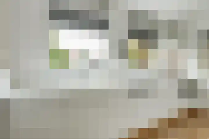 Van Haestrechtstraat 10 Drunen thumbnail 15