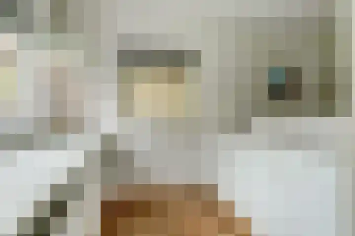 Van Haestrechtstraat 10 Drunen thumbnail 16