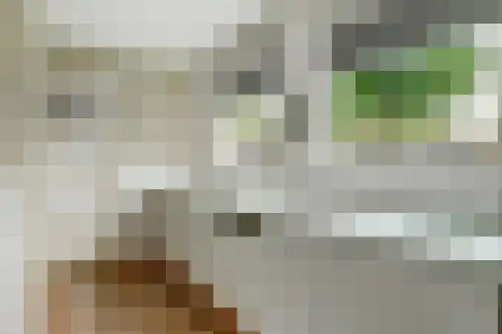 Van Haestrechtstraat 10 Drunen thumbnail 17