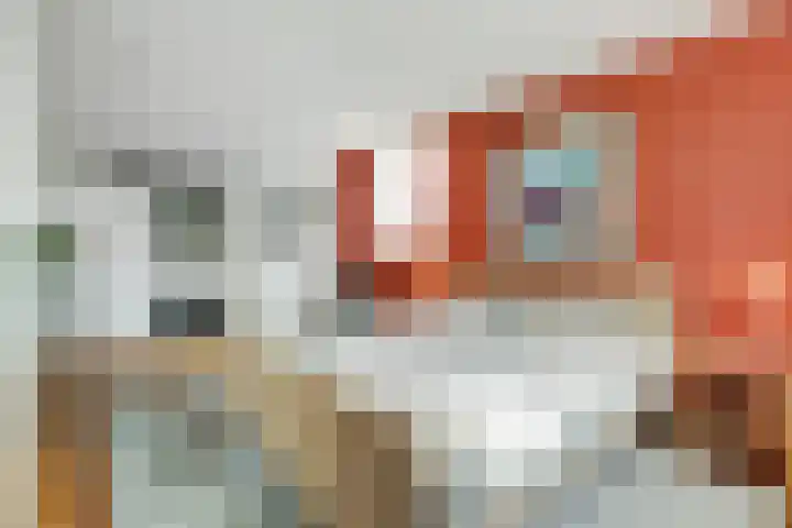 Van Haestrechtstraat 10 Drunen thumbnail 18