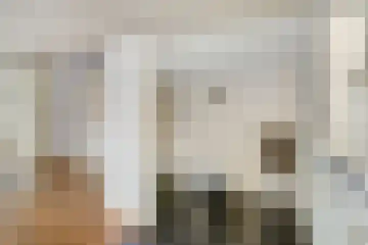 Van Haestrechtstraat 10 Drunen thumbnail 22