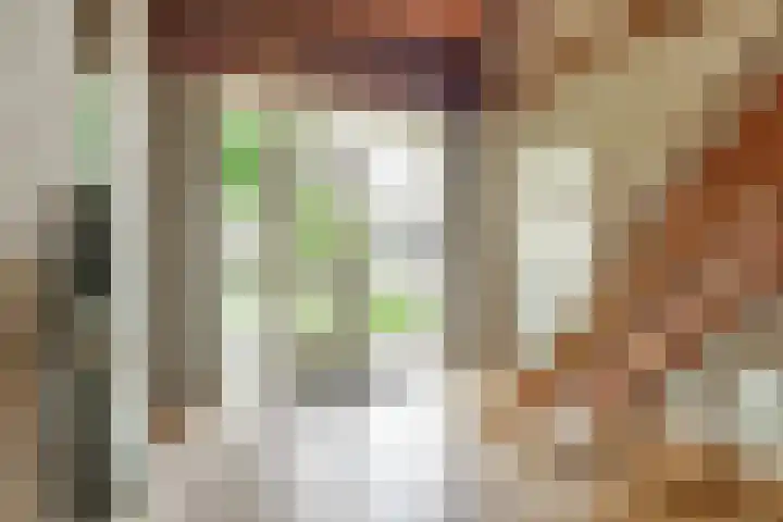 Van Haestrechtstraat 10 Drunen thumbnail 28