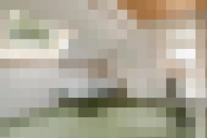 Van Haestrechtstraat 10 Drunen thumbnail 32