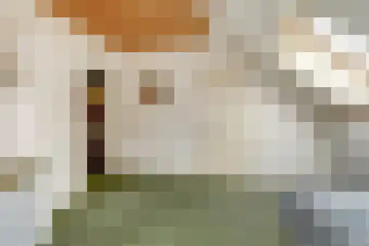 Van Haestrechtstraat 10 Drunen thumbnail 33