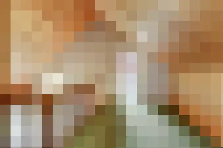 Van Haestrechtstraat 10 Drunen thumbnail 34
