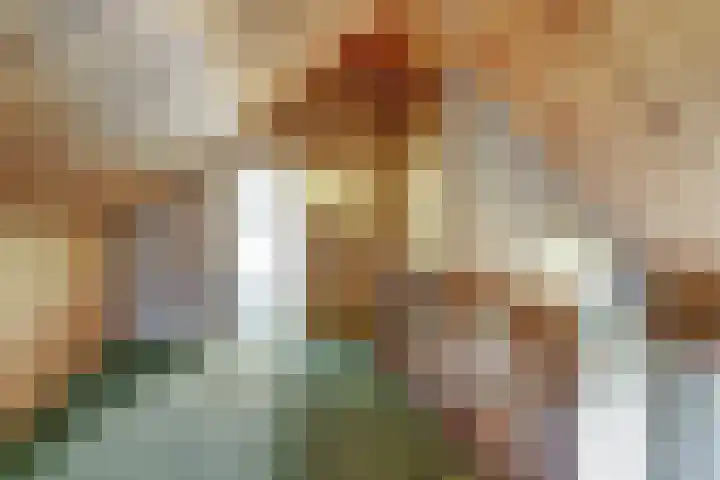 Van Haestrechtstraat 10 Drunen thumbnail 35