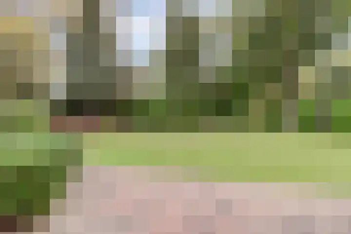 Van Haestrechtstraat 10 Drunen thumbnail 39