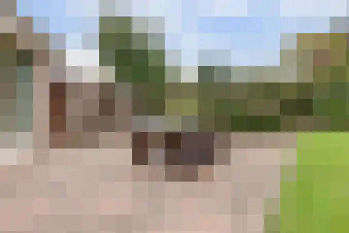 Van Haestrechtstraat 10 Drunen thumbnail 40
