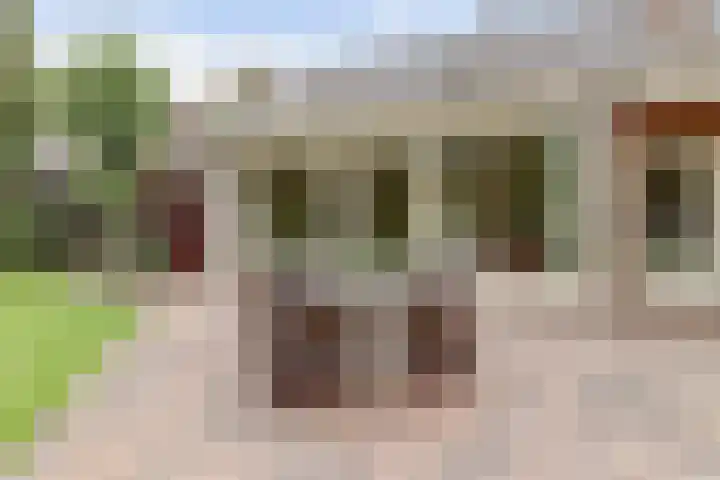 Van Haestrechtstraat 10 Drunen thumbnail 41