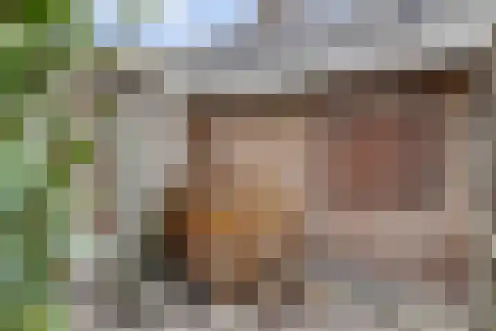 Van Haestrechtstraat 10 Drunen thumbnail 42