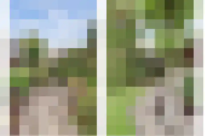 Van Haestrechtstraat 10 Drunen thumbnail 43