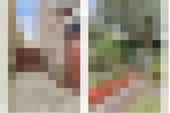Van Haestrechtstraat 10 Drunen thumbnail 44