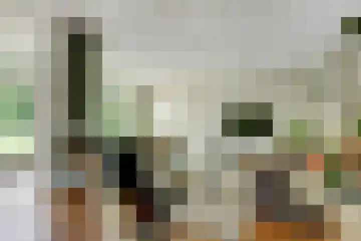 Van Haestrechtstraat 10 Drunen thumbnail 5