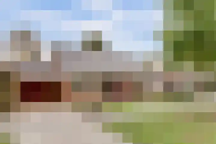 Van Haestrechtstraat 10 Drunen thumbnail 50