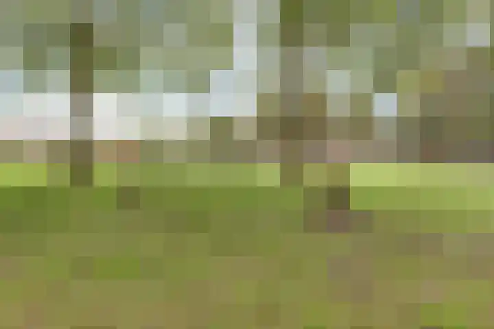 Van Haestrechtstraat 10 Drunen thumbnail 52