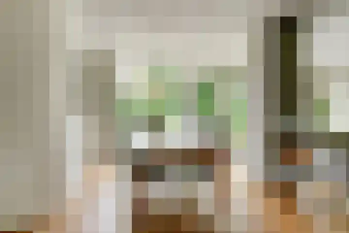 Van Haestrechtstraat 10 Drunen thumbnail 8
