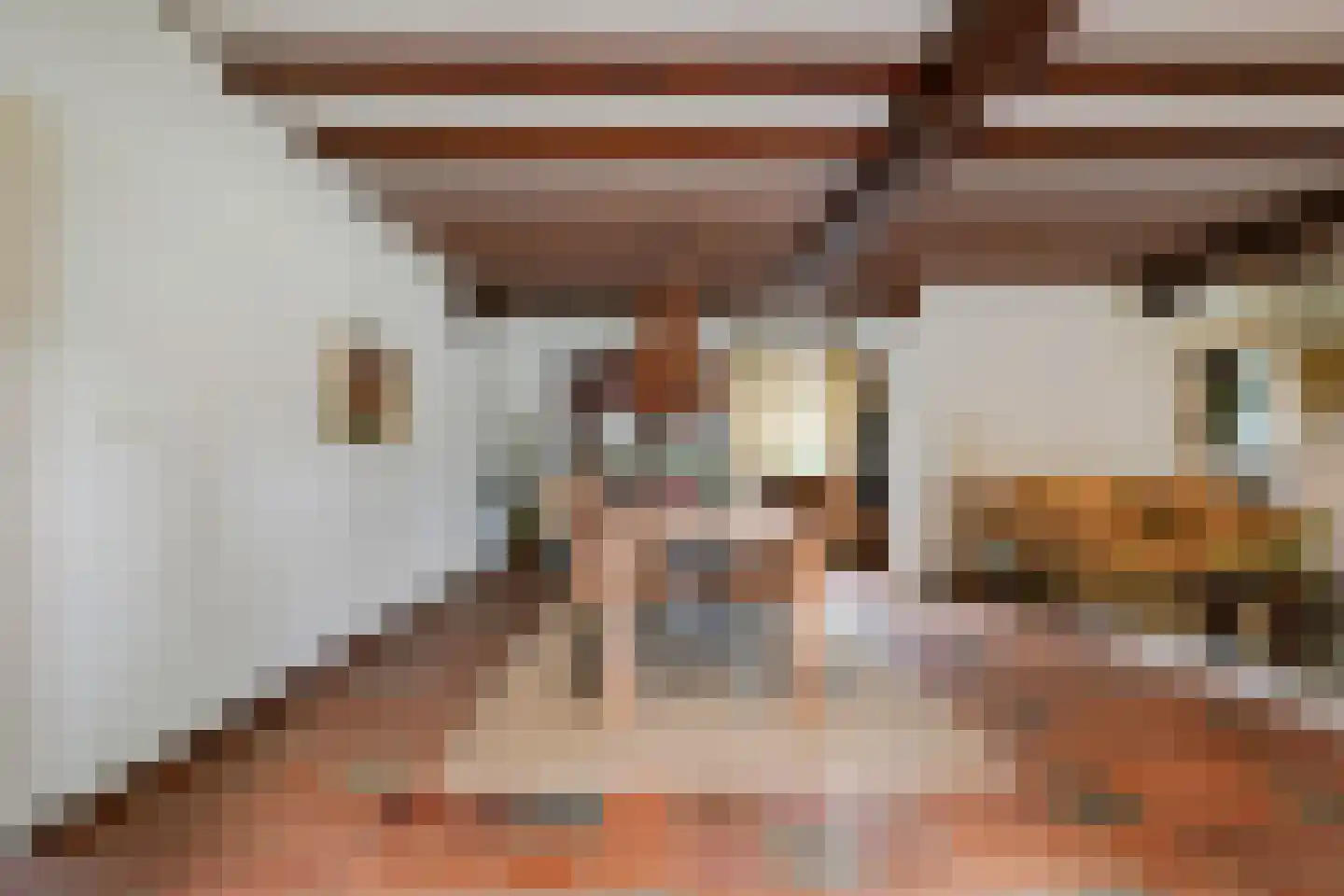 van Haestrechtstraat 10 Kaatsheuvel thumbnail 11