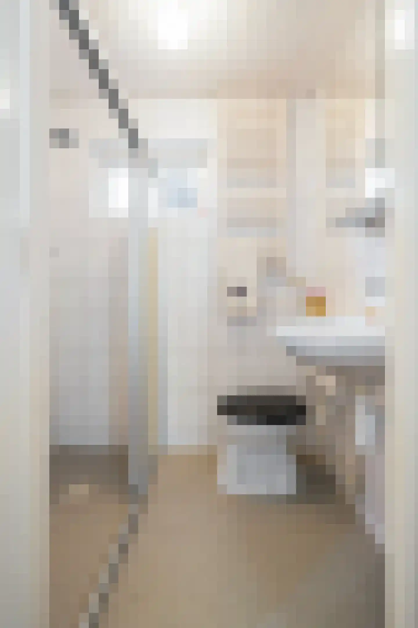 van Haestrechtstraat 10 Kaatsheuvel thumbnail 44