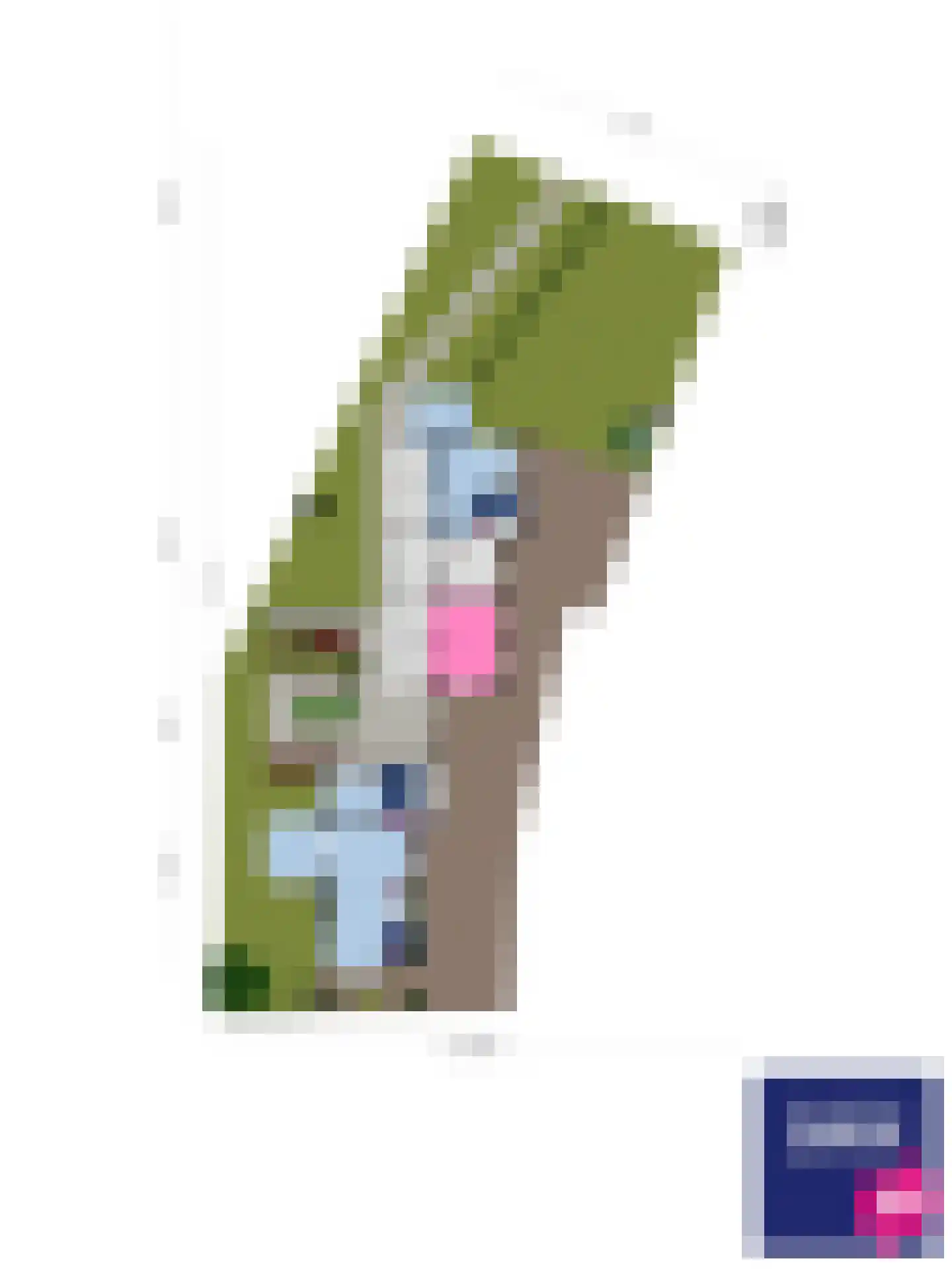 van Haestrechtstraat 10 Kaatsheuvel thumbnail 52