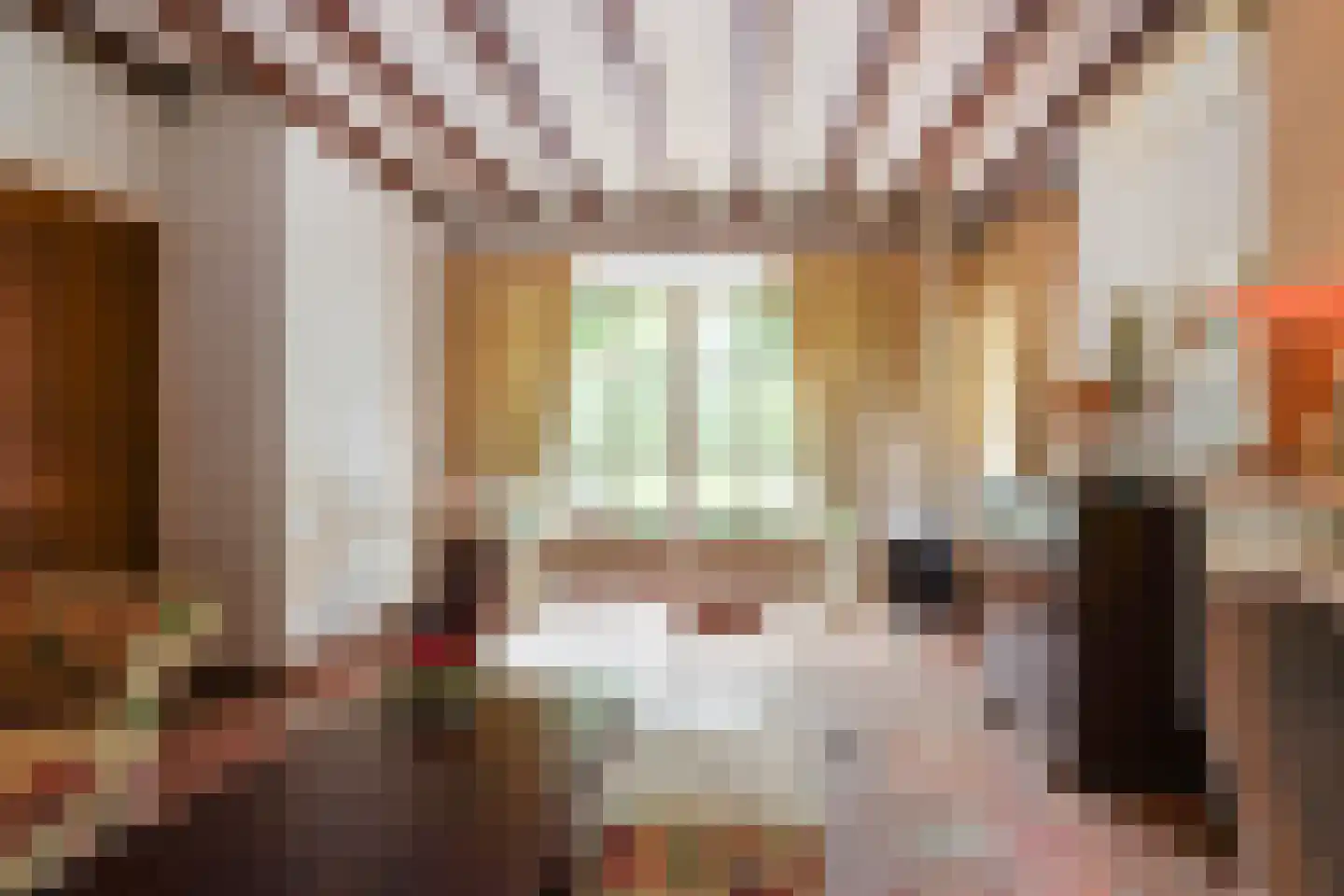 van Haestrechtstraat 10 Kaatsheuvel thumbnail 6