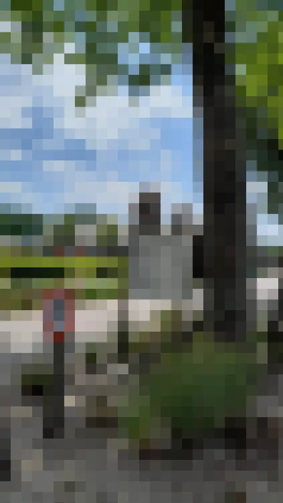 van Haestrechtstraat 24 Kaatsheuvel thumbnail 23