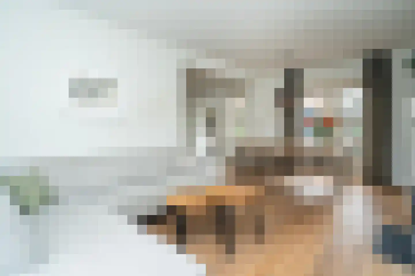 Van Haestrechtstraat 27 Goirle thumbnail 13