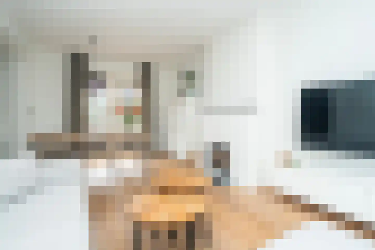 Van Haestrechtstraat 27 Goirle thumbnail 14