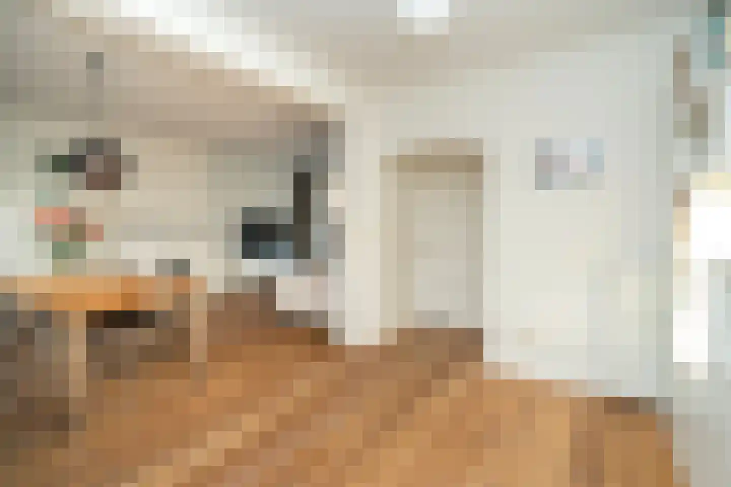 Van Haestrechtstraat 27 Goirle thumbnail 18