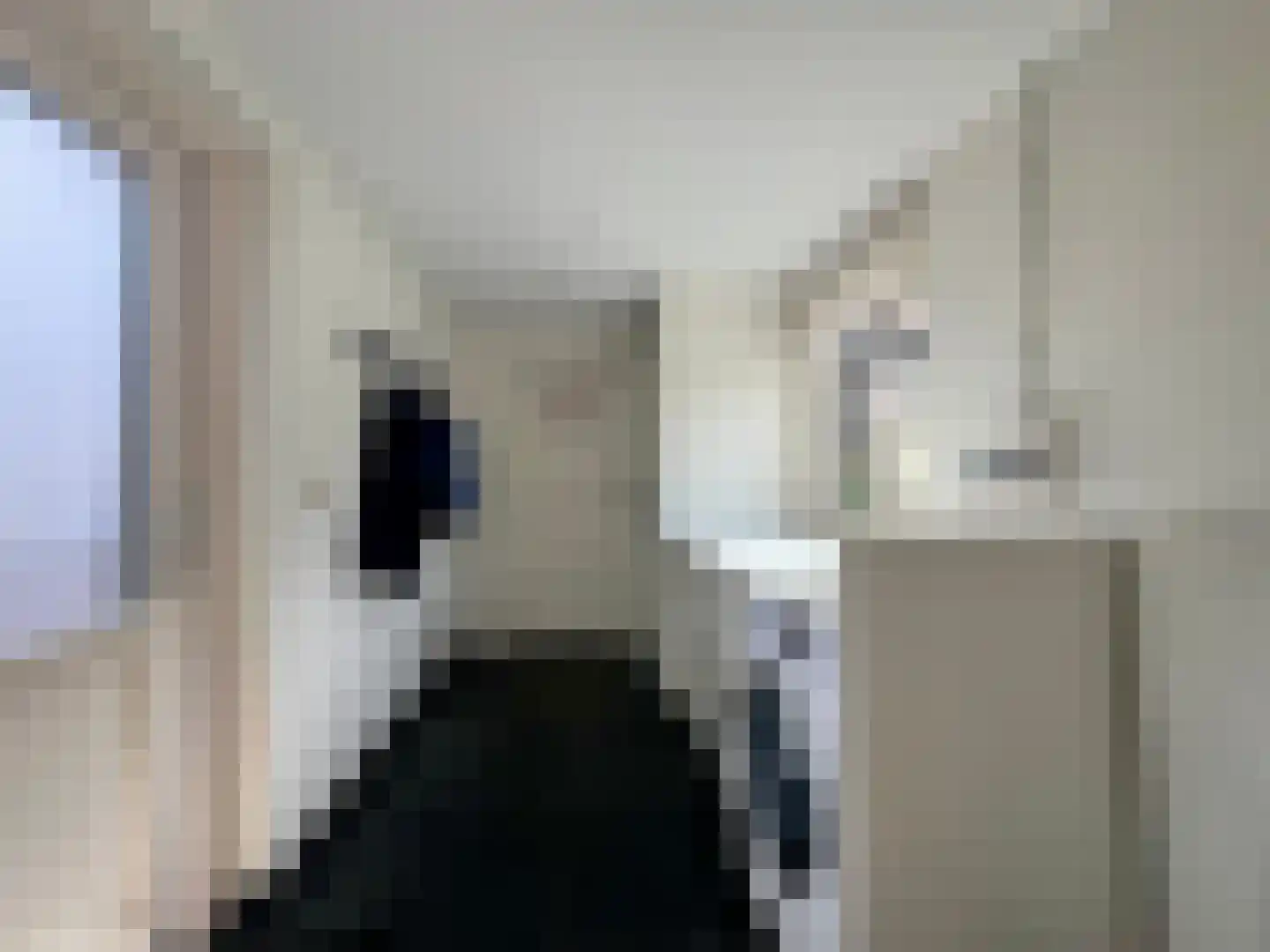 Van Haestrechtstraat 27 Goirle thumbnail 26