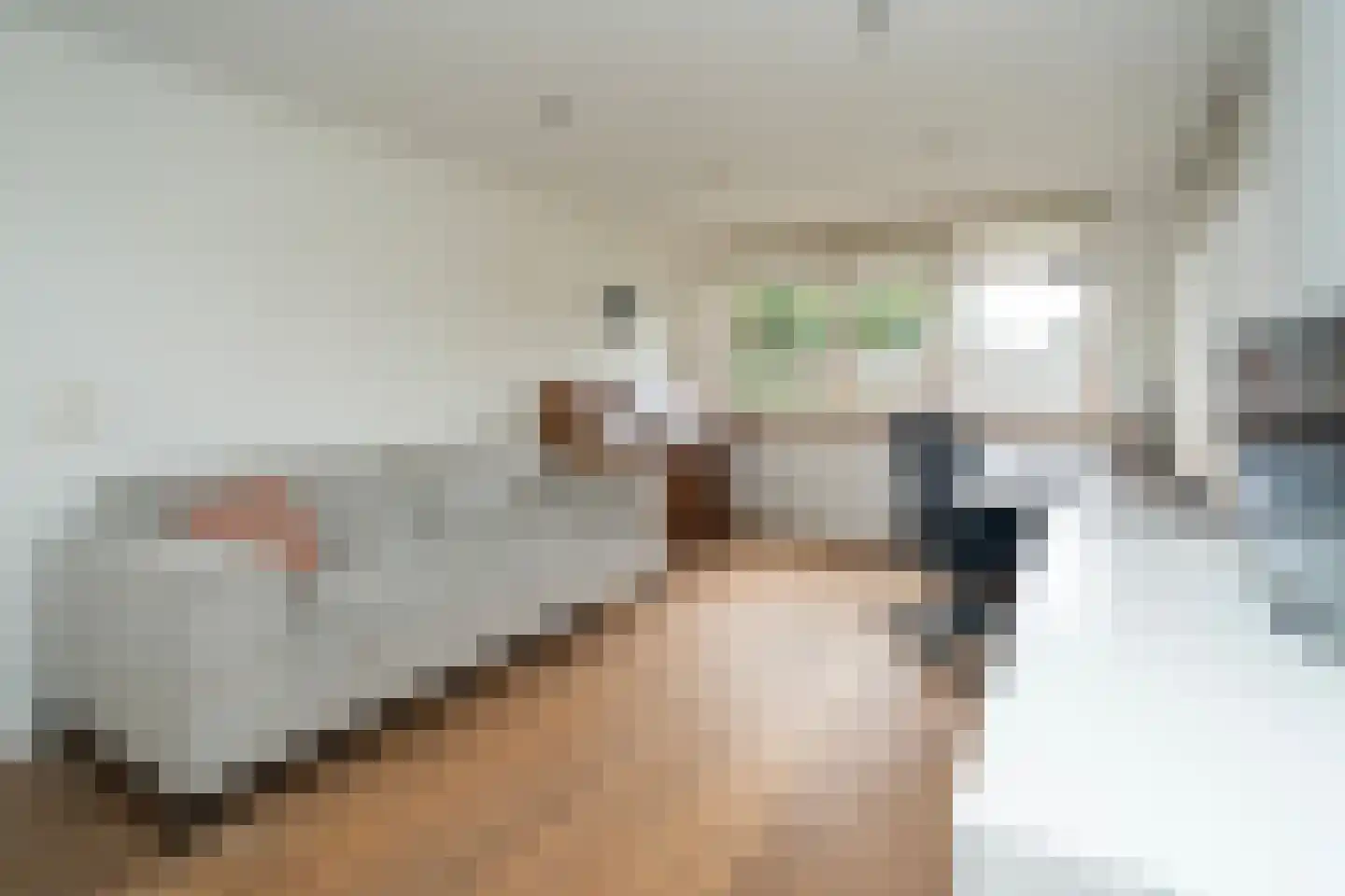 Van Haestrechtstraat 27 Goirle thumbnail 29