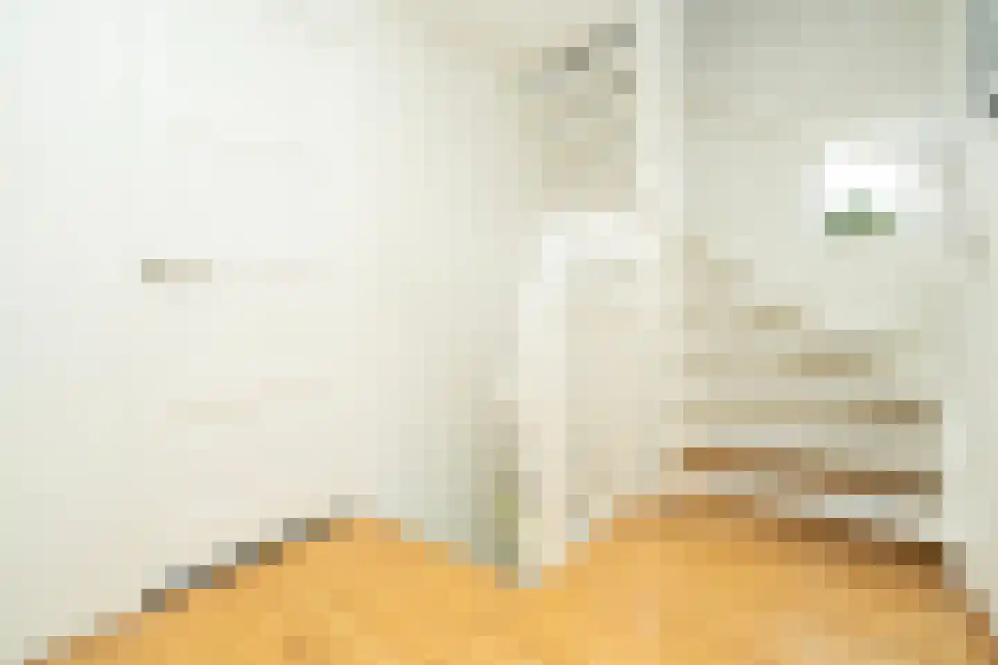 Van Haestrechtstraat 27 Goirle thumbnail 41