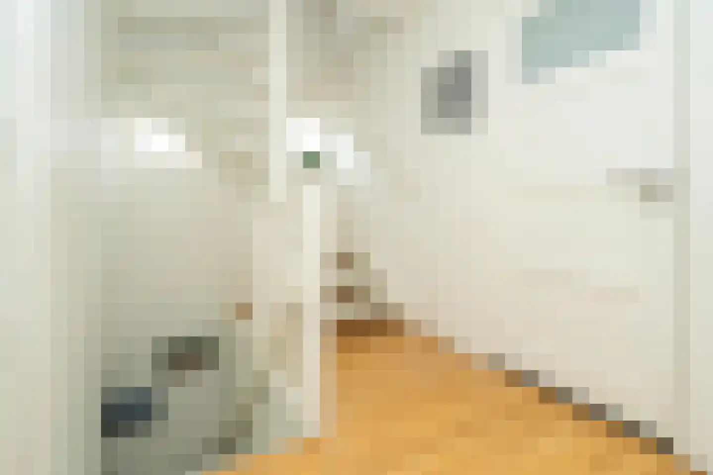 Van Haestrechtstraat 27 Goirle thumbnail 42