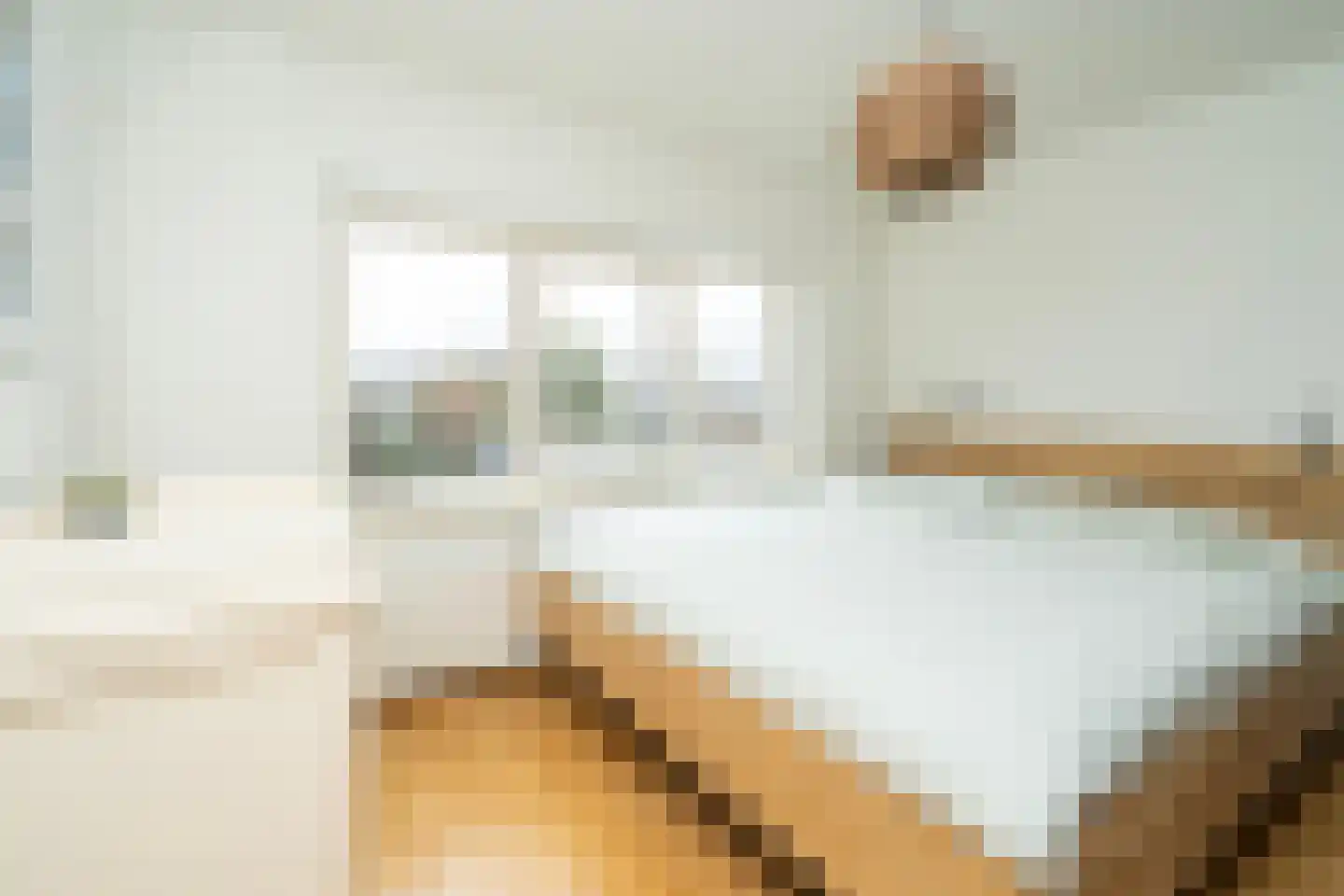Van Haestrechtstraat 27 Goirle thumbnail 43