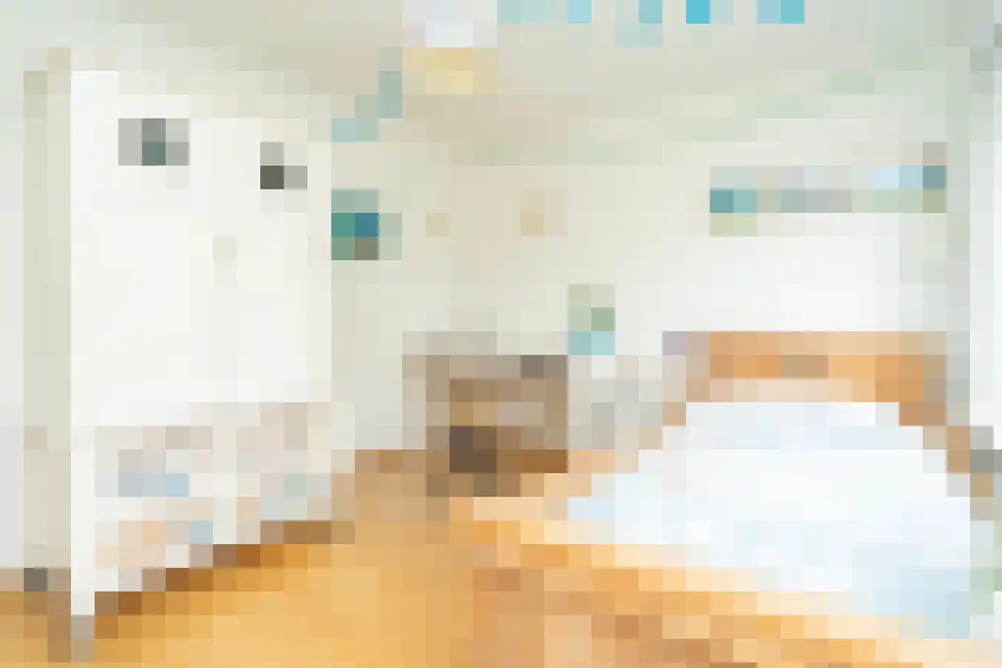 Van Haestrechtstraat 27 Goirle thumbnail 44