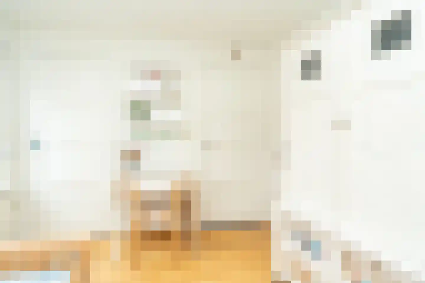 Van Haestrechtstraat 27 Goirle thumbnail 47