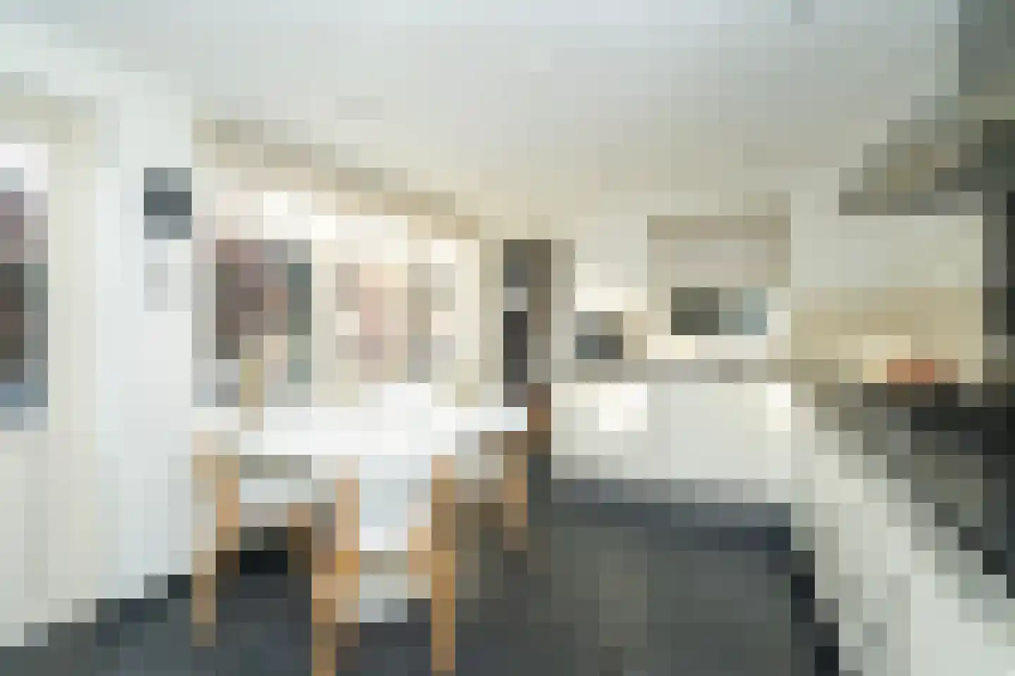 Van Haestrechtstraat 27 Goirle thumbnail 7