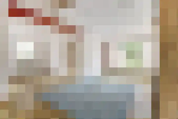 Van Haestrechtstraat 28 Goirle thumbnail 10