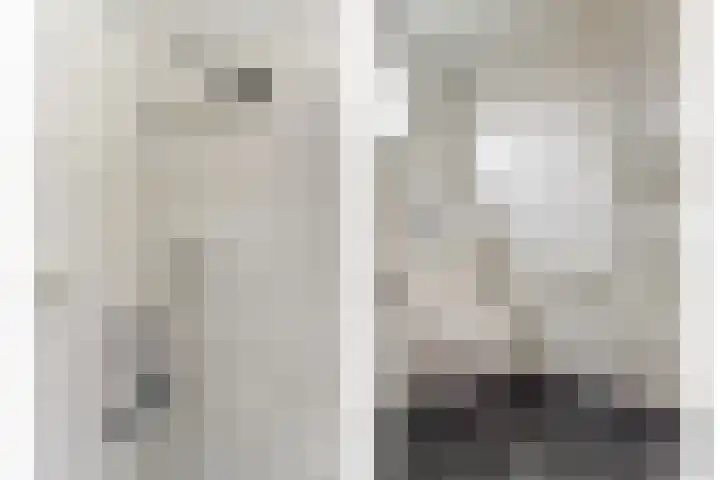 Van Haestrechtstraat 28 Goirle thumbnail 31