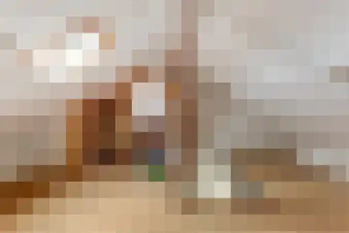 Van Haestrechtstraat 28 Goirle thumbnail 32